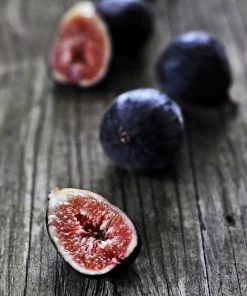 SN FRUIT COLLECTION Fig Trees - Black Mission