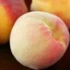 SN FRUIT COLLECTION Peach Trees - China Pearl