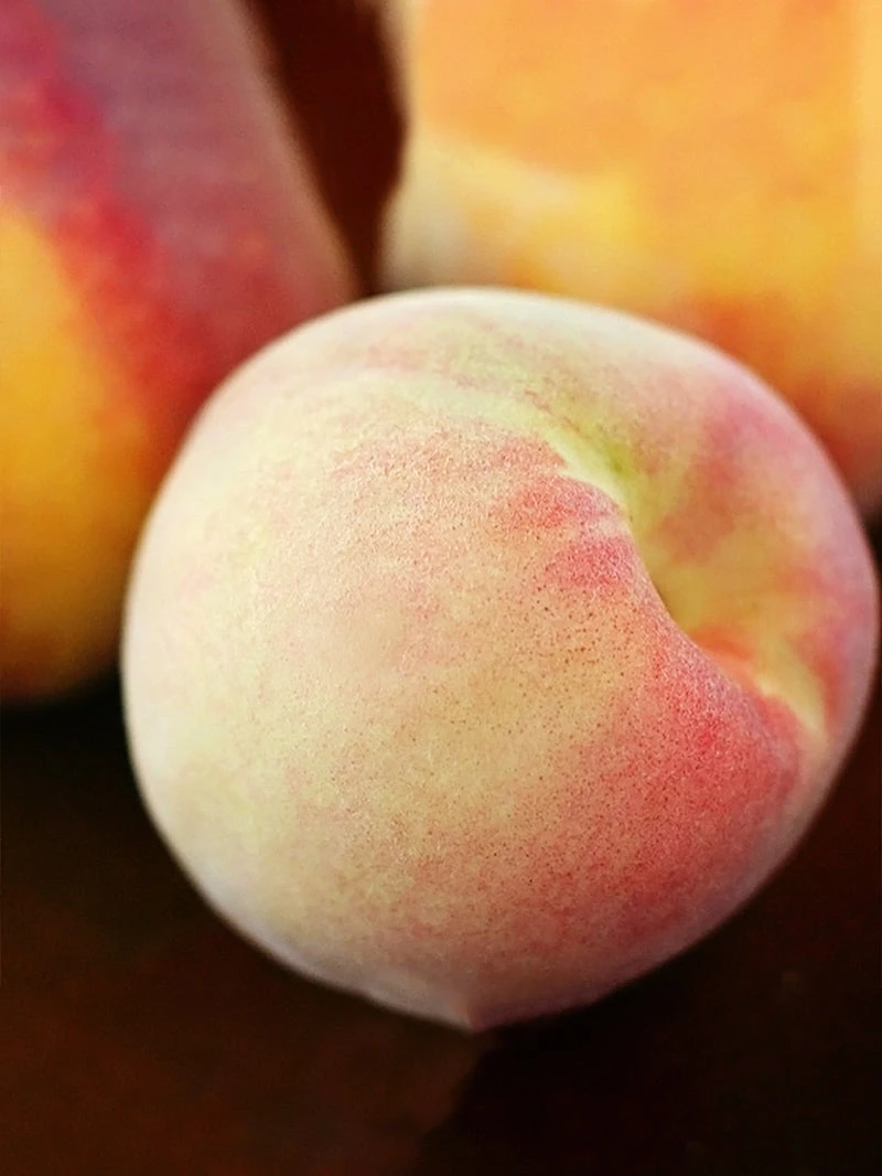 SN FRUIT COLLECTION Peach Trees - China Pearl