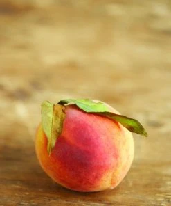 SN Peach Trees - Early Elberta