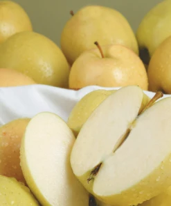 SN Apple Trees - Ein Shemer